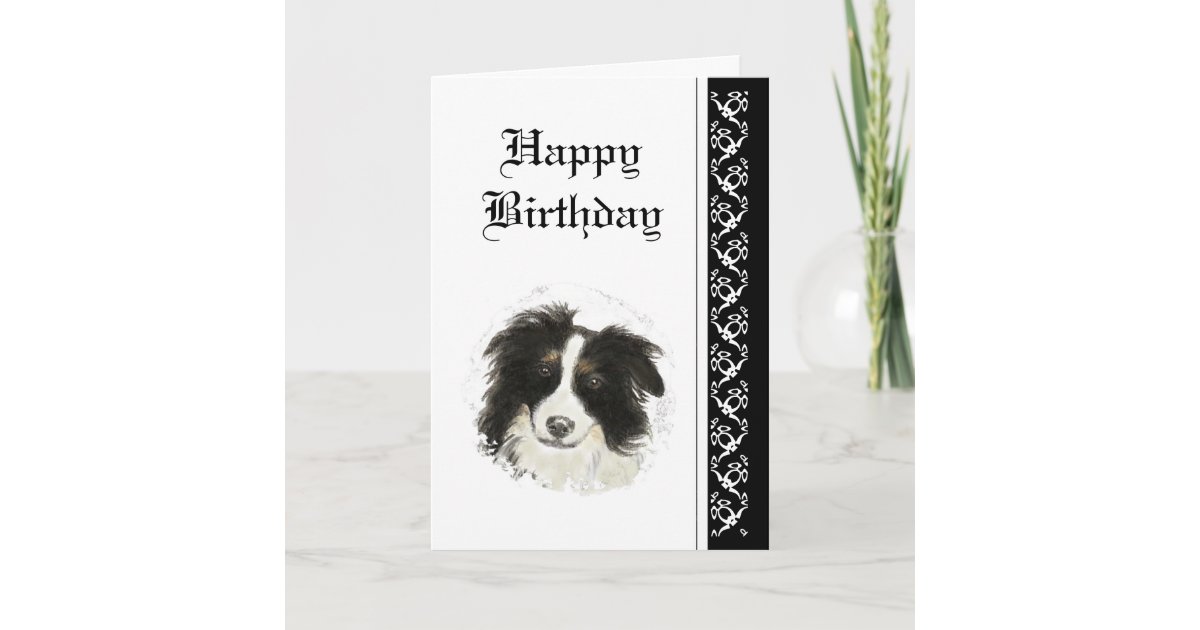 Elegant Birthday, Border Collie Dog Pet Card | Zazzle.com