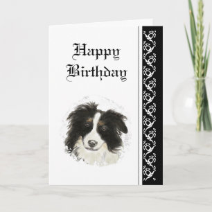Elegant Birthday, Border Collie Dog Pet Card