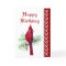 Elegant  Birthday,Cardinal, Bird, Nature