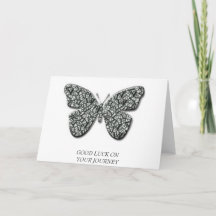 Elegant Black And White  Butterfly