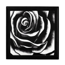 Elegant Black And White Rose