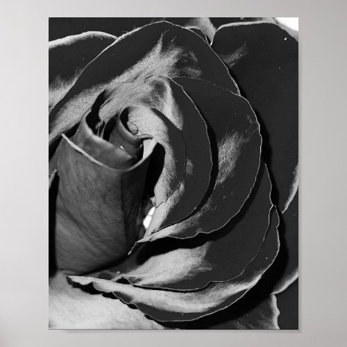 Elegant Black and White Rose Photo Poster