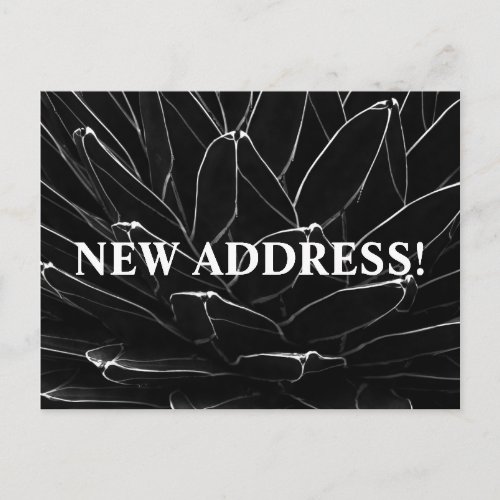 Elegant Black Cactus New Address Announcement   Postcard