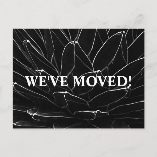 Elegant Black Cactus Weve Moved Announcement  Pos Postcard