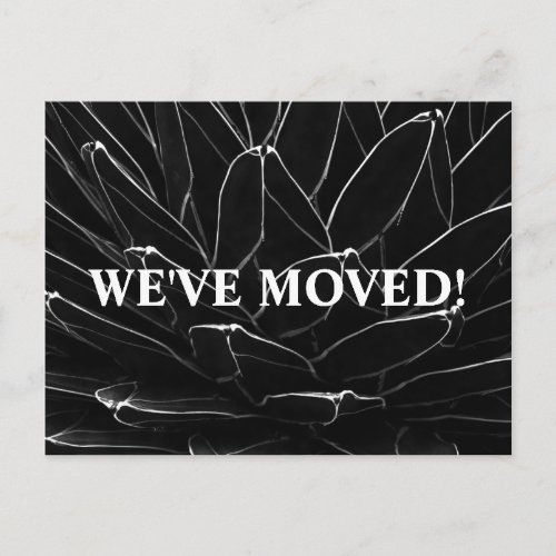 Elegant Black Cactus Weve Moved Announcement  Postcard