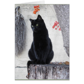 Elegant Black Cat With Orange Bougainvillea Cards
