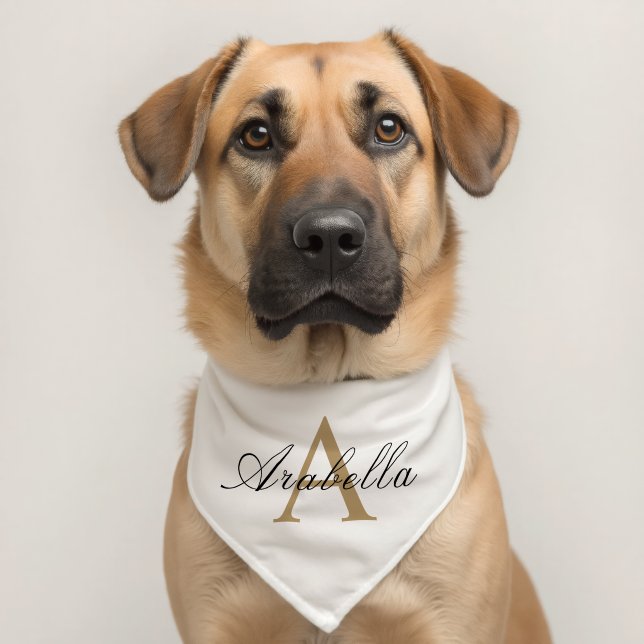 Elegant Black Gold  Personalized Monogram  Name  Pet Bandana Collar (Dog 2)