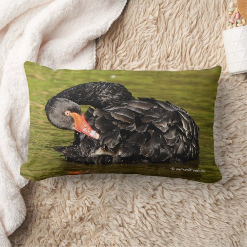 Elegant Black Swan Preening in the Pond Lumbar Pillow
