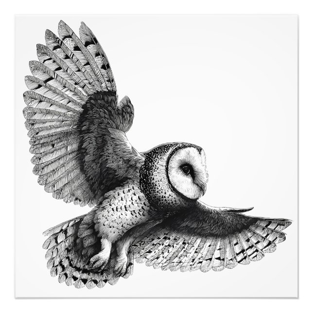 Elegant Black White Barn Owl Illustration Photo Print (Front)