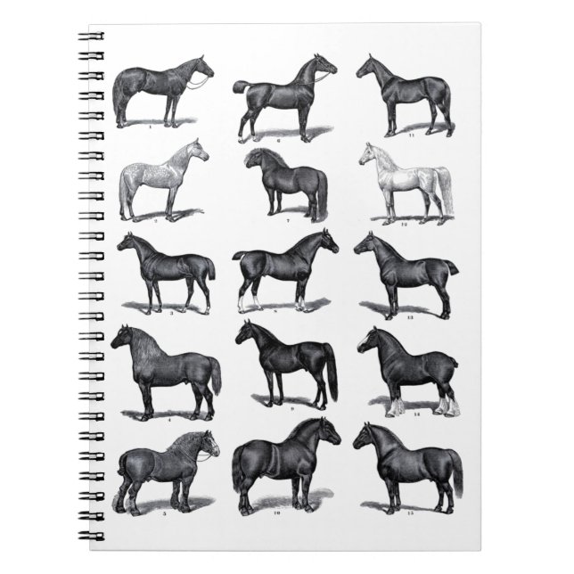 Elegant Black White Equestrian Vintage Horse Notebook (Front)