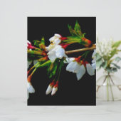 Elegant Black White flowering white Blossom (Standing Front)
