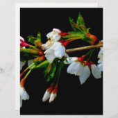 Elegant Black White flowering white Blossom (Front/Back)