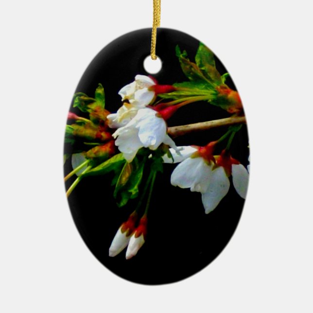 Elegant Black White flowering white Blossom Ceramic Ornament (Front)