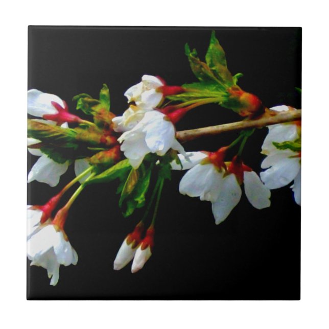 Elegant Black White flowering white Blossom Ceramic Tile (Front)