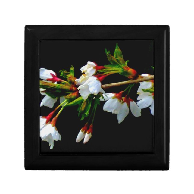 Elegant Black White flowering white Blossom Jewelry Box (Front)
