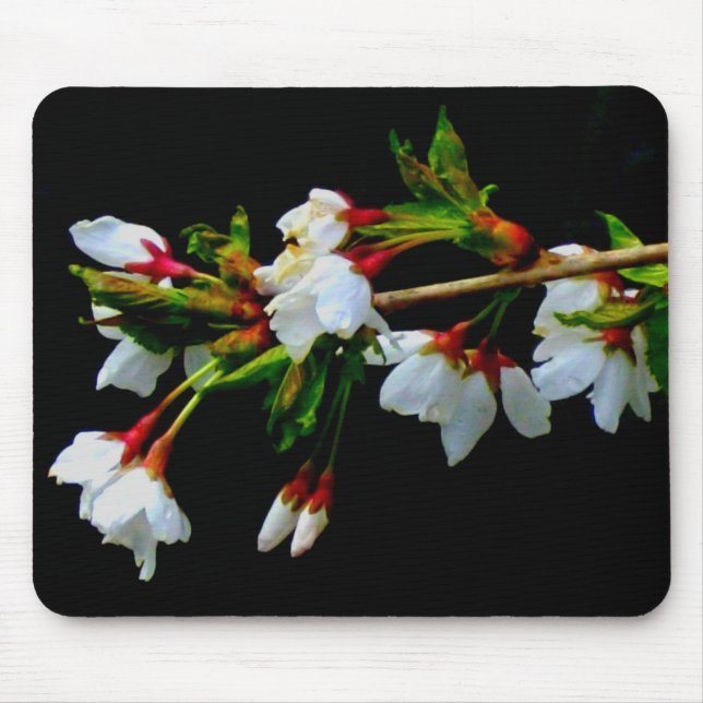 Elegant Black White flowering white Blossom Mouse Pad (Front)