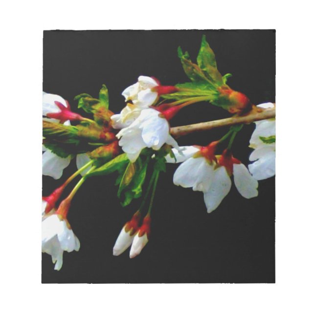 Elegant Black White flowering white Blossom Notepad (Front)