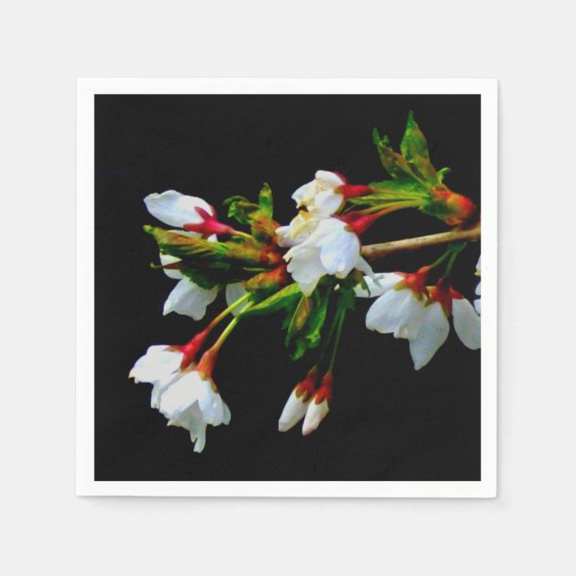 Elegant Black White flowering white Blossom Paper Napkins (Front)