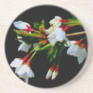 Elegant Black White flowering white Blossom Sandstone Coaster