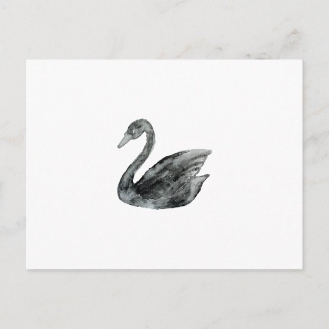 Elegant black white hand painted watercolor swan postcard (Front)