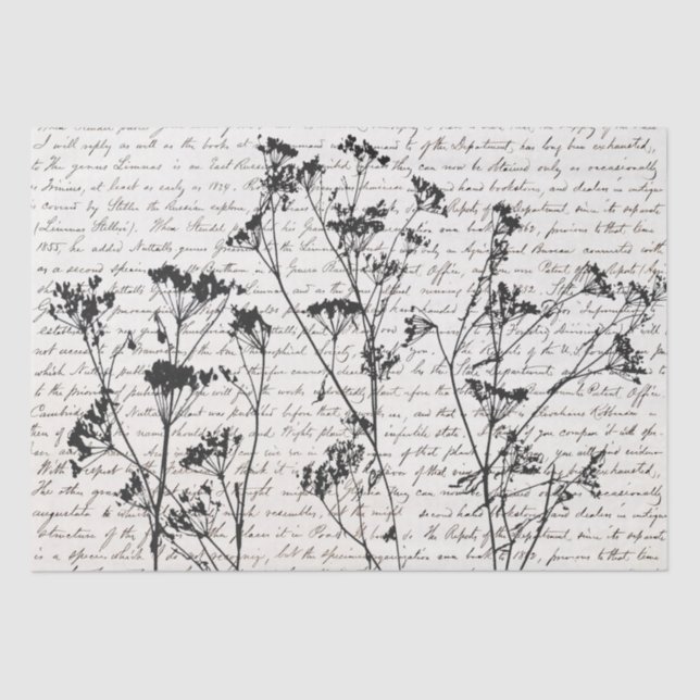 Elegant Black Wildflower Silhouettes Old Script Tissue Paper (Front)