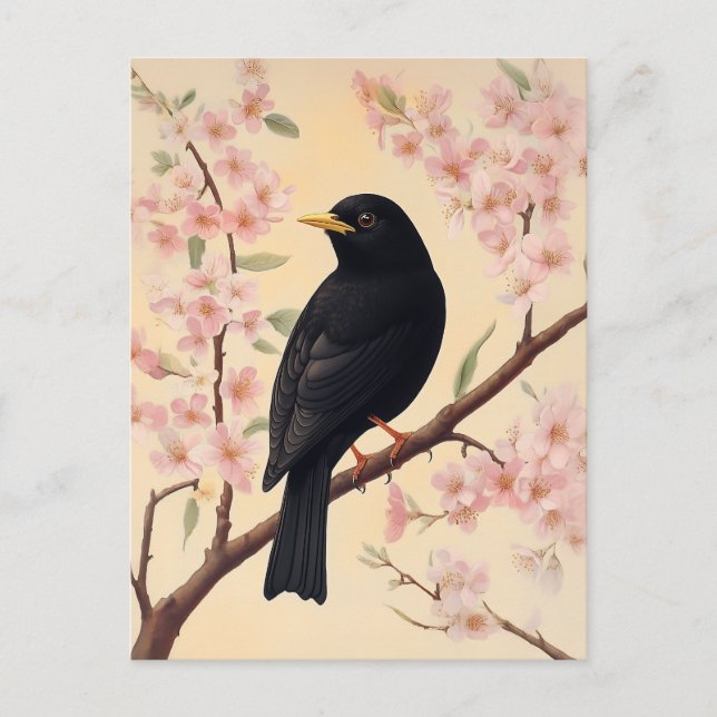 Elegant Blackbird on Blossoms Postcard (Front)
