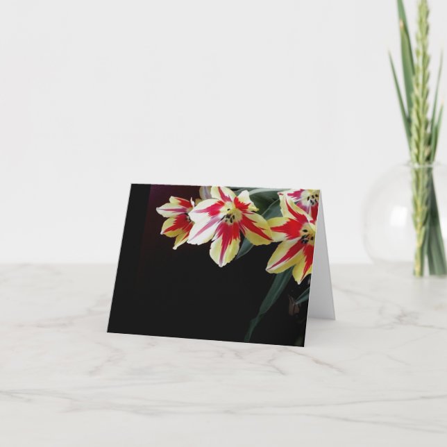Elegant blank note card - Red & Yellow Tulips (Front)