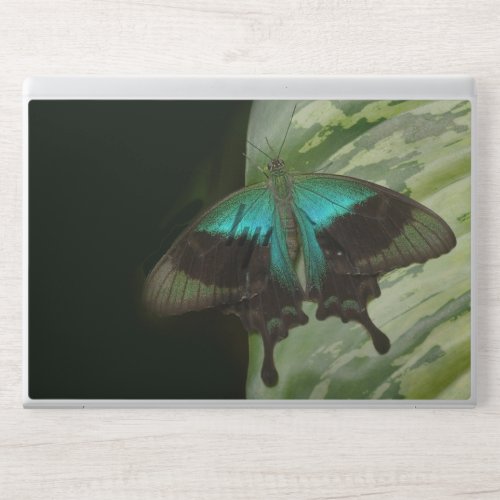 Elegant blue and black butterfly marble  HP laptop skin