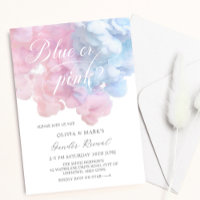 Elegant blue and pink smoke Baby Gender Reveal