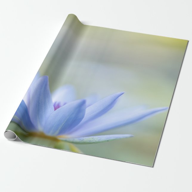 Elegant Blue Lotus  Wrapping Paper (Unrolled)