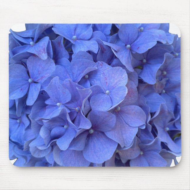 Elegant Blue periwinkle floral hydrangeas  Mouse Pad (Front)