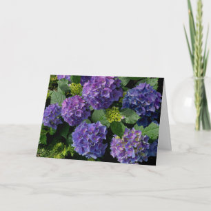 Elegant blue purple magenta green floral hydrangea card