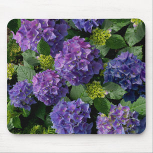 Elegant blue purple magenta green floral hydrangea mouse pad