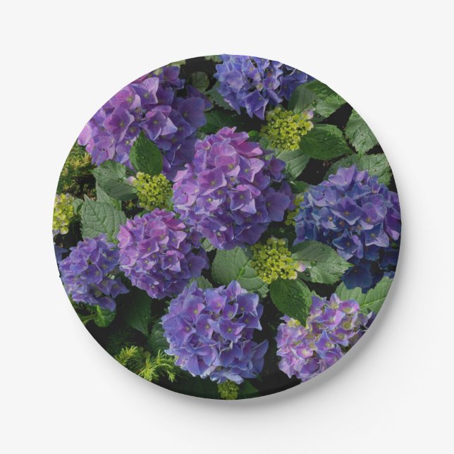 Elegant blue purple magenta green floral hydrangea paper plates (Front)