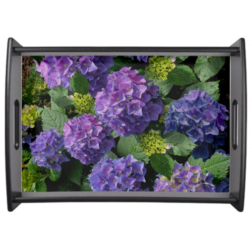 Elegant blue purple magenta green floral hydrangea serving tray