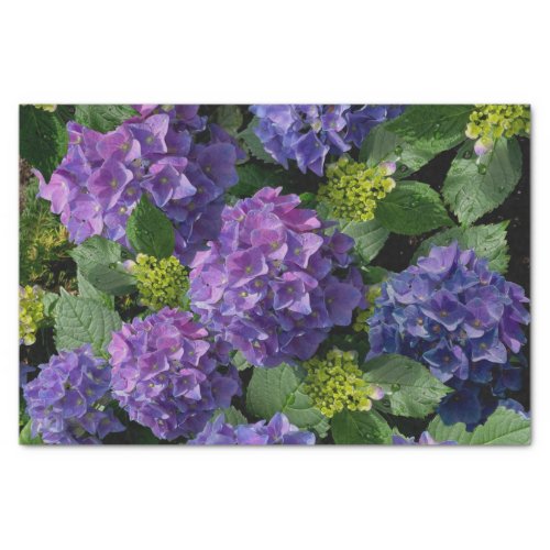 Elegant blue purple magenta green floral hydrangea tissue paper