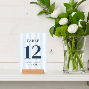 Elegant Blue Stripes Holder