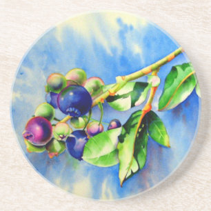 Elegant blueberry watercolor painting sandstone coaster