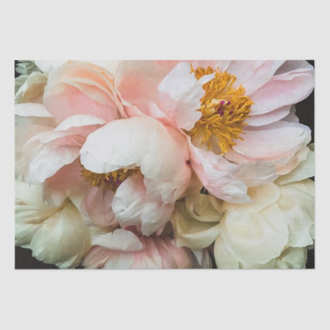 Elegant Blush Pink Peonies Tissue Paper (Front)