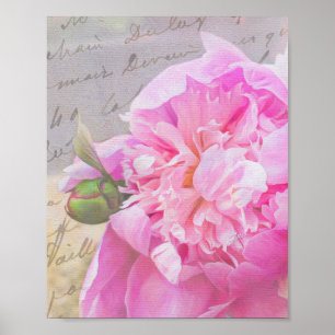 Elegant Blush Pink Peony Floral w/ Textures Script Poster
