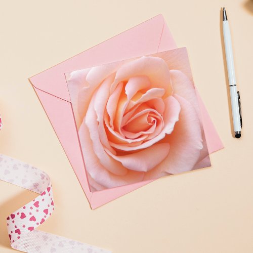 Elegant Blush Pink Rose Floral Thank You Note Card