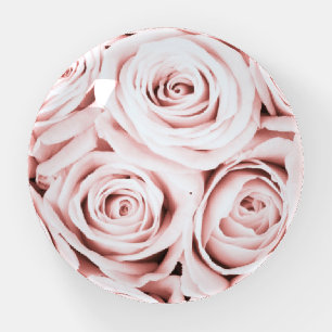 Elegant blush pink roses floral paperweight