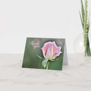 Elegant Blush Rose Thank You Card by Siberianmom at Zazzle