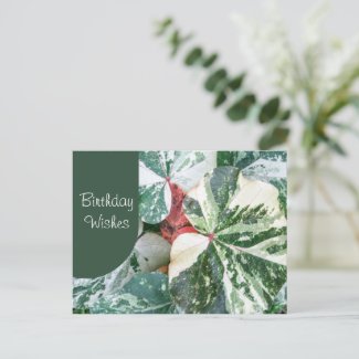Elegant Botanical Birthday Wishes Postcard