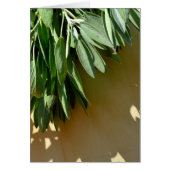 Elegant botanical green herbs leaves sage (Front)
