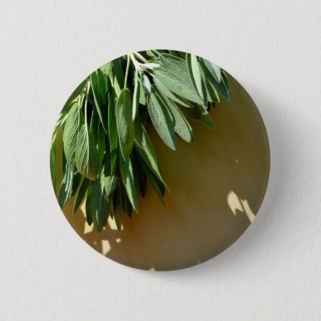 Elegant botanical green herbs leaves sage button (Front)