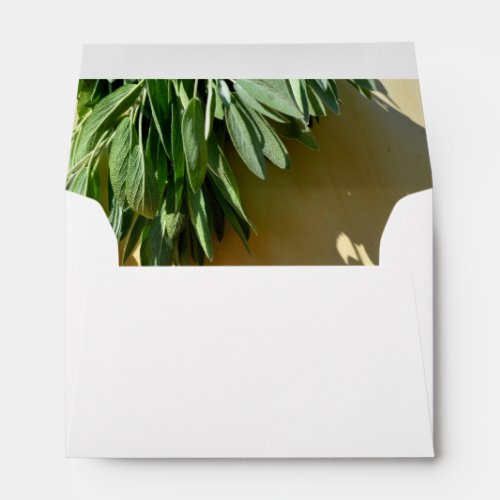 Elegant botanical green herbs leaves sage envelope