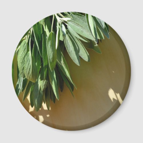 Elegant botanical green herbs leaves sage magnet