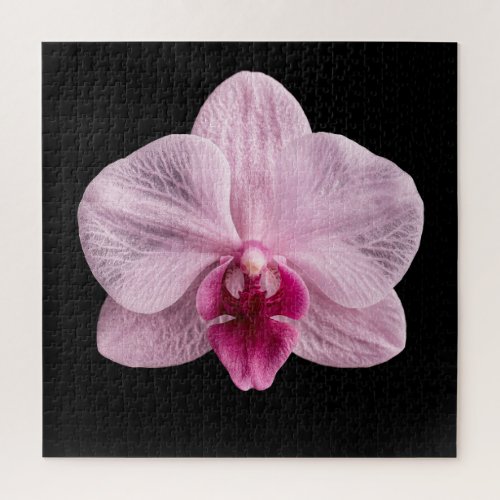 Elegant Botanical Orchid Collection Poster Jigsaw Puzzle