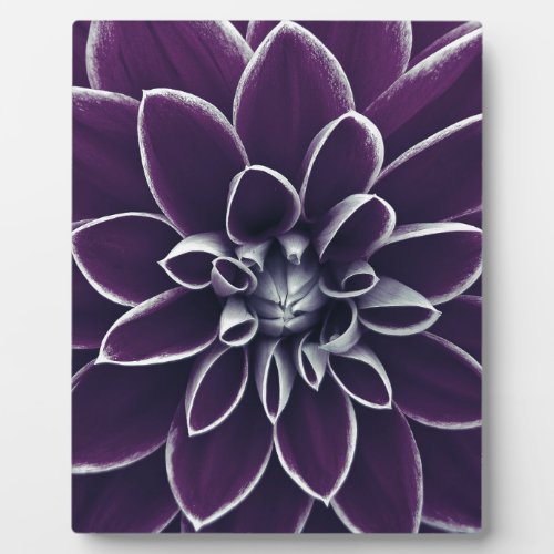 Elegant Botanical Purple Flower Plaque